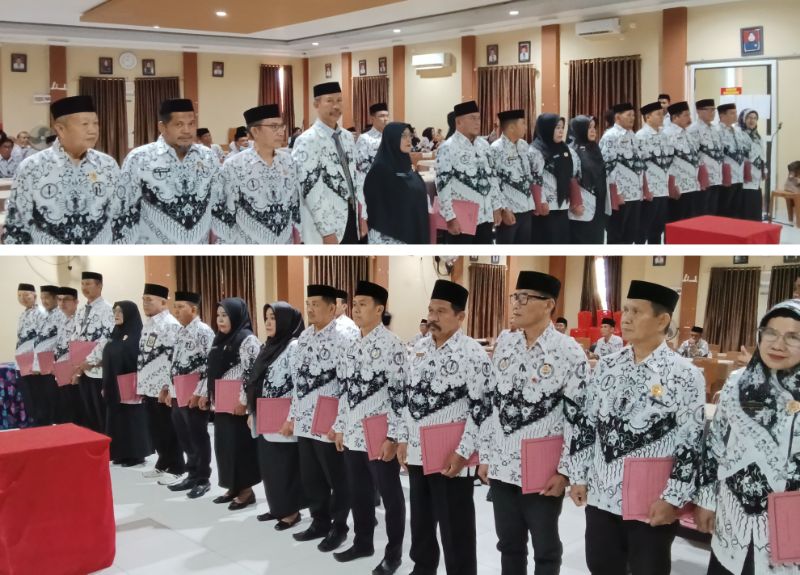 Bidang PGRI Timor Tengah Selatan - Persatuan Guru Republik Indonesia Cabang Timor Tengah Selatan